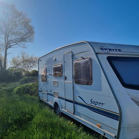 Falsterly Glamping Horbelöv Exteriér fotografie